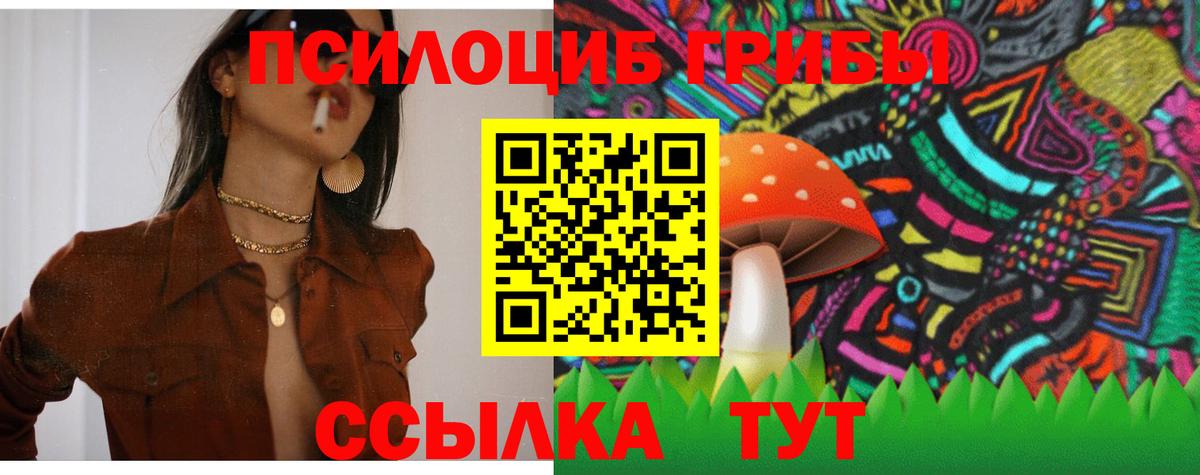 Псилоцибиновые грибы Magic Shrooms  Псилоцибиновые грибы Magic Shrooms  Еманжелинск  Вход с VPN 
